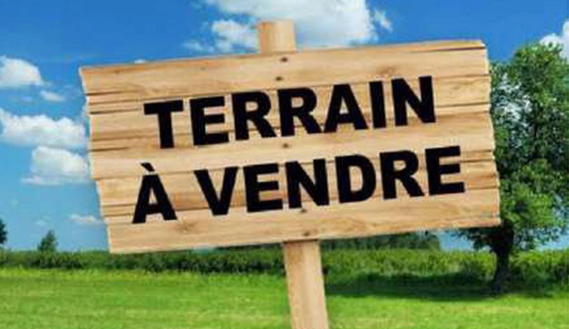 Terrain - Saint-Pierre