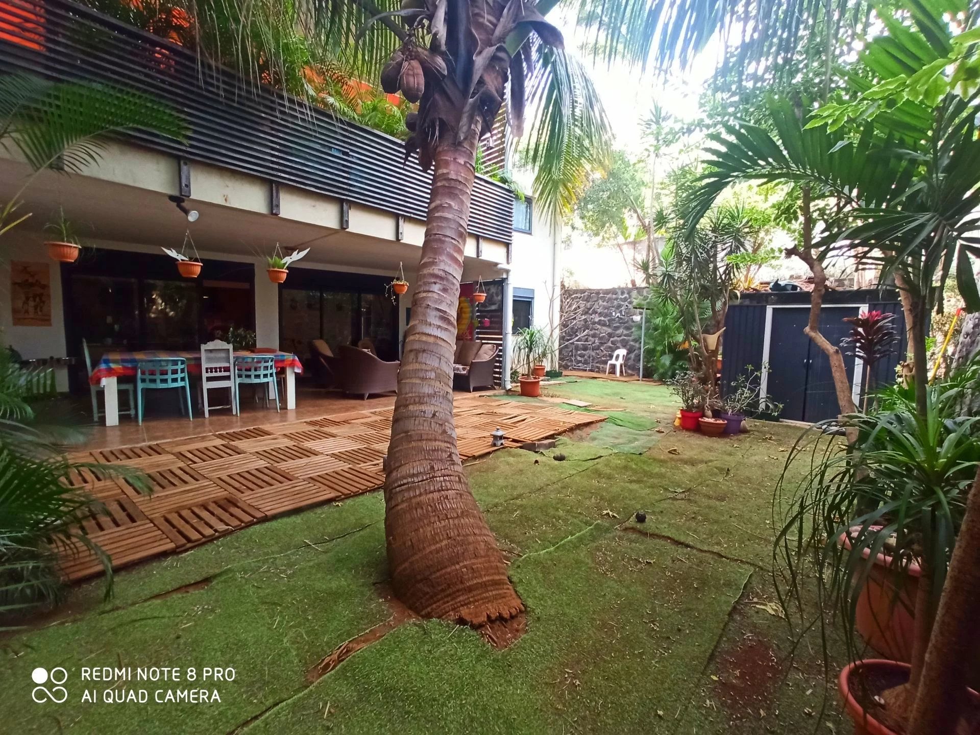 Appartement - Saint-Pierre