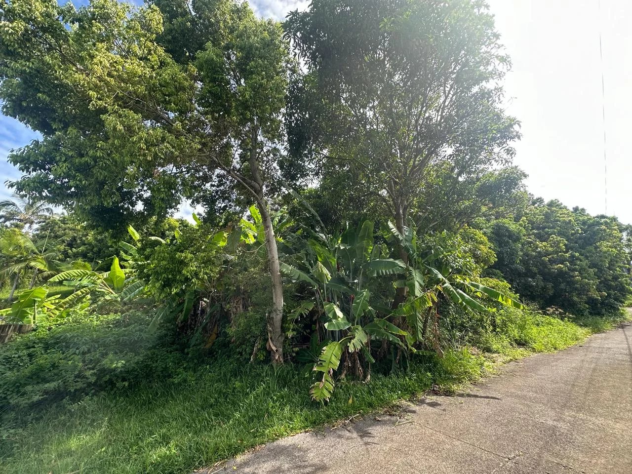 Terrain - Saint-Joseph