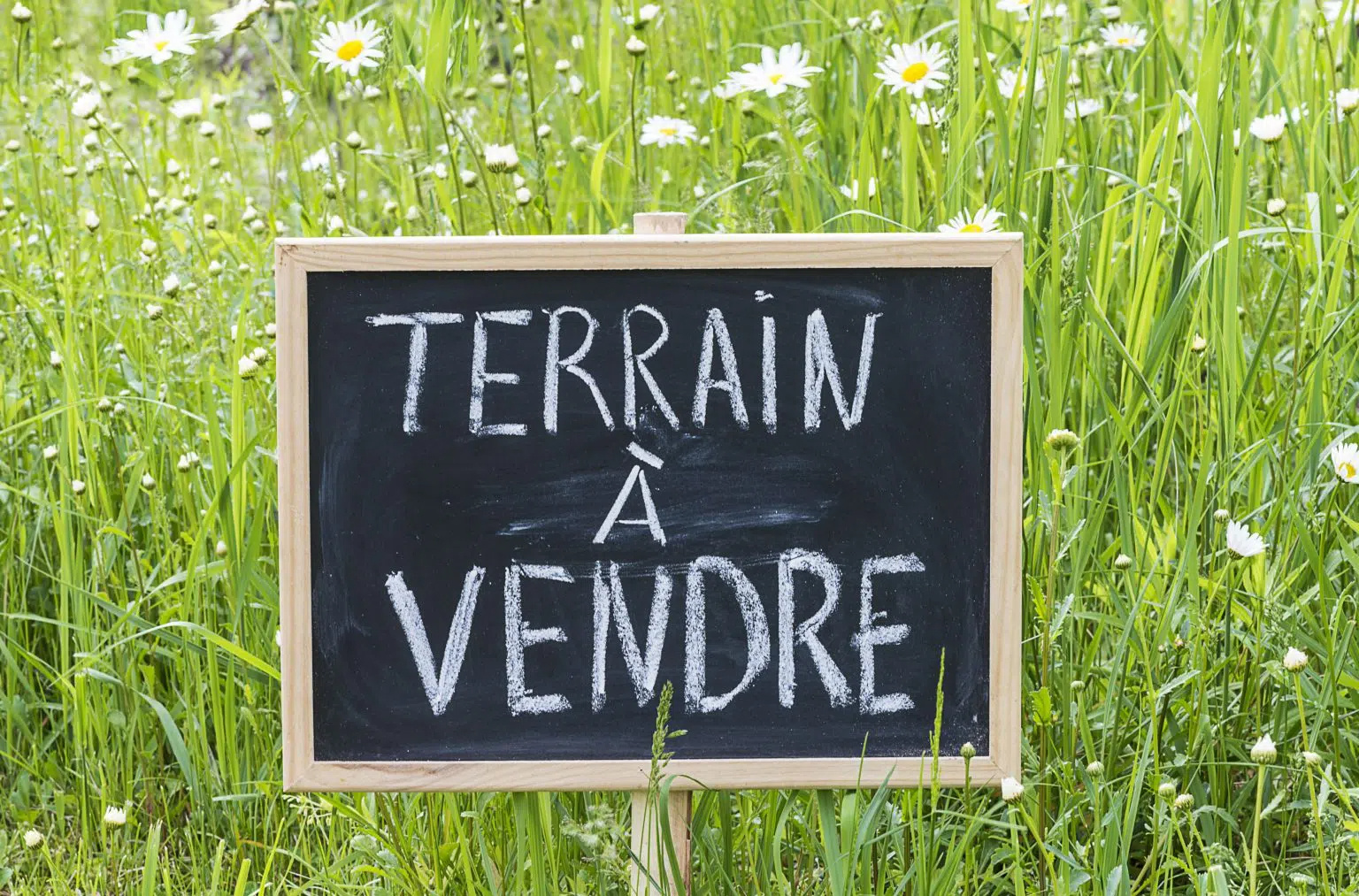 Terrain - Le Tampon